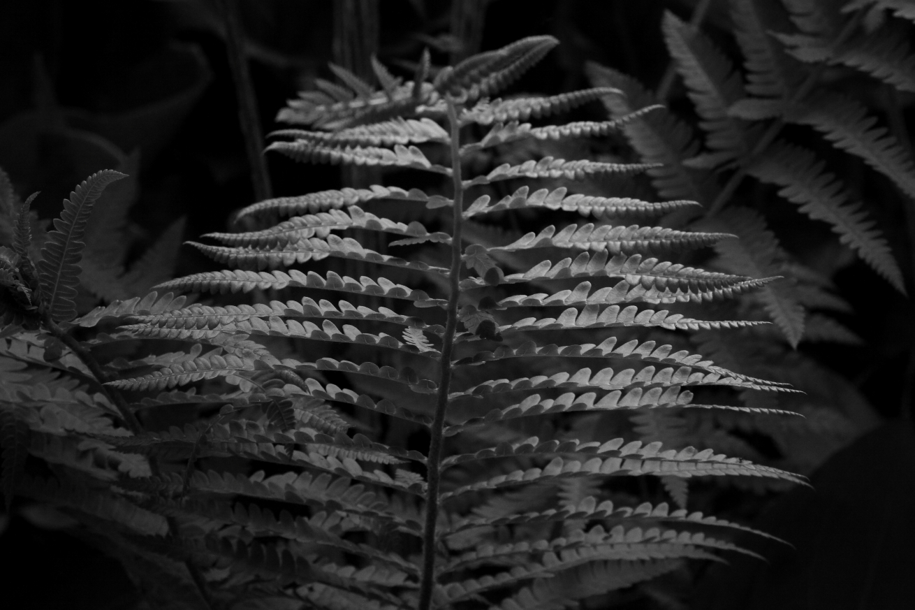 2015 05 16 HTP 000054956ebw